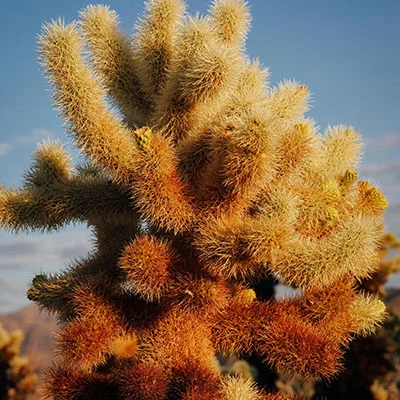 免费Clash节点精选 | 3月30日20M/S|免费V2ray节点/Trojan节点/SSR节点/Singbox节点/Shadowrocket节点/Clash节点节点推荐，在线Clash机场梯子购买推荐