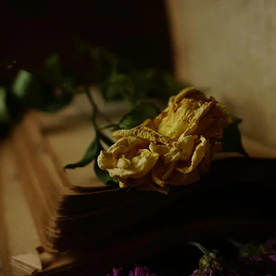 免费Clash节点精选 | 2月20日20.7M/S|免费Shadowrocket节点/Clash节点/Trojan节点/V2ray节点/Singbox节点/SSR节点节点推荐，在线Clash机场梯子购买推荐